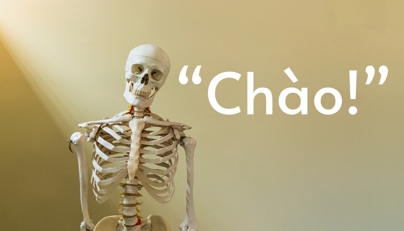 sinh-hoc-giai-phau-hoc-cau-tao-va-chuc-nang-he-xuong-nguoi-human-skeleton-anatomy